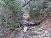 Great Smokey Mountain National Park