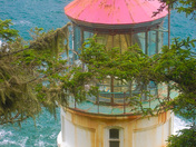 Suislaw National Forest