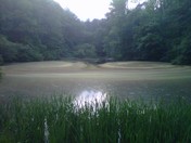 Island Ford Park, Chattahoochee National Park, Atlanta, GA