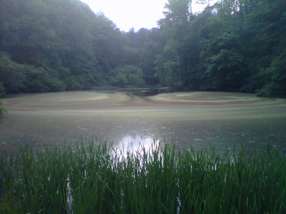 Island Ford Park, Chattahoochee National Park, Atlanta, GA