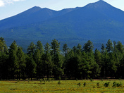 Coconino National Forest