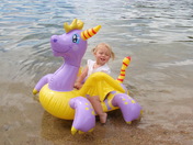 Bridger-Teton National Forest