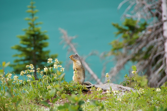 Glacier National Park