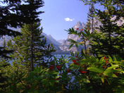 Grand Teton National Park