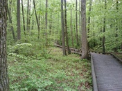 Great Swamp National Wildlife refuge