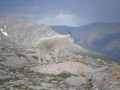 Rocky Mountain National Park