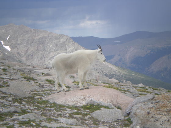 Rocky Mountain National Park