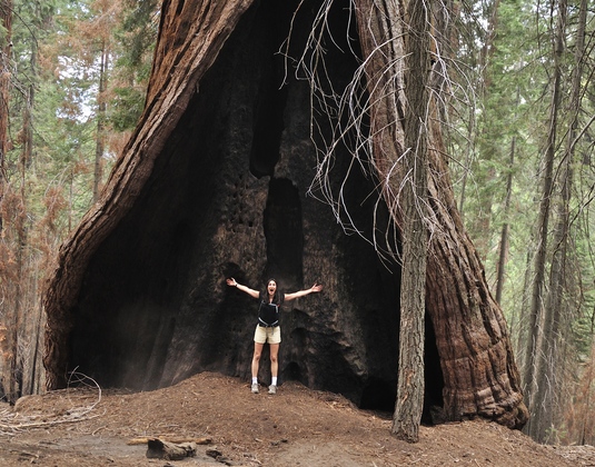 King's Canyon