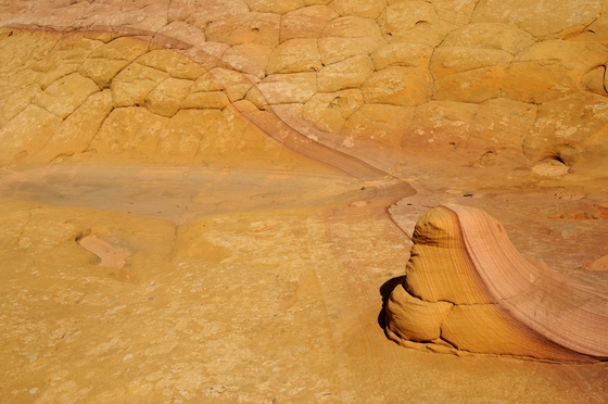 Vermillion Cliffs National Monument
