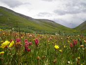 San Juan National Forest