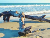 Hatteras National Seashore