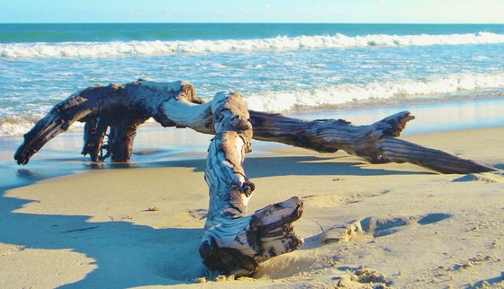 Hatteras National Seashore