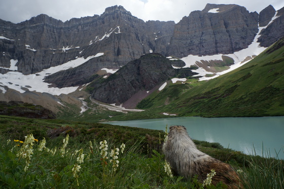 Glacier National Park