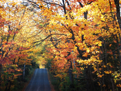 Chippewa National Forest