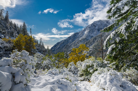 Trinity Alps Wilderness