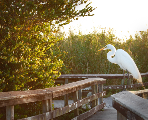 Everglades National Park