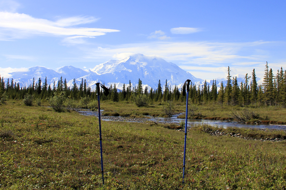 Denali National Park