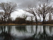 Carlsbad Cavern National park
