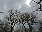 Carlsbad Caverns National Park