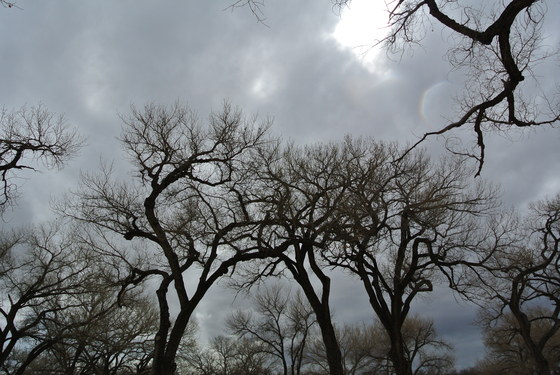 Carlsbad Caverns National Park