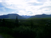 Denali National Park