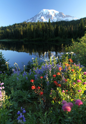 Mount Rainier
