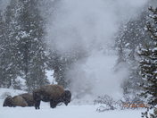 Yellowstone National Park