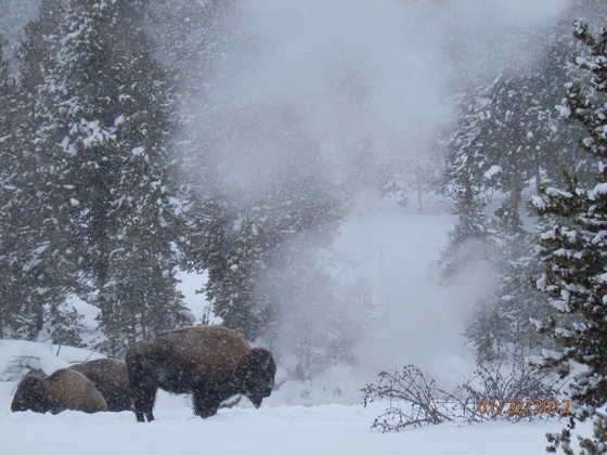 Yellowstone National Park
