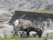 Badlands National Park