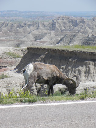 Badlands National Park