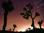 Joshua Tree National Park