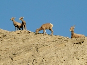 Grand Tetons National Park
