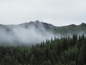 Denali National Park