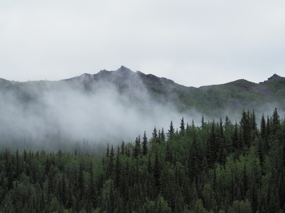 Denali National Park