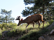 Rocky Mountain National Park
