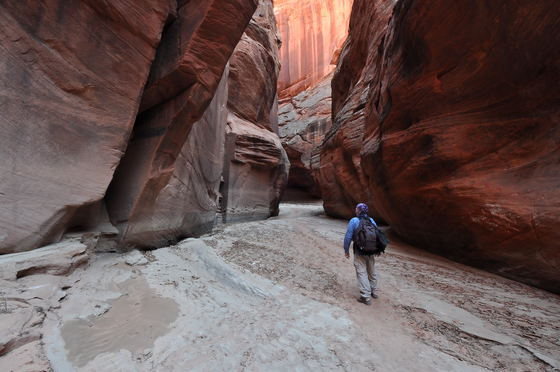 Paria Canyon-Vermilion Cliffs