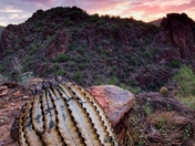 Tonto National Forest
