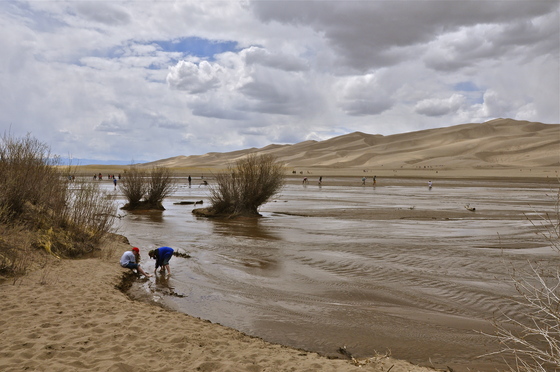 Great Sand Dunes National Park and Preserve