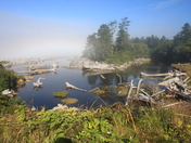Olympic National Park