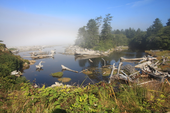 Olympic National Park