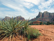 By Bell Rock/Coconino