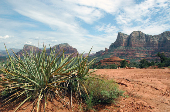 By Bell Rock/Coconino
