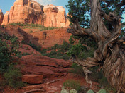 Hike to Cathedral Mountain/ Coconino