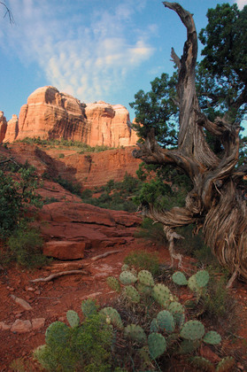 Hike to Cathedral Mountain/ Coconino