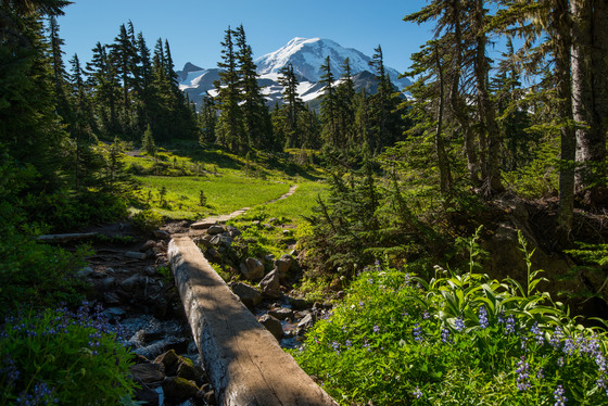 Mt. Rainier National Park
