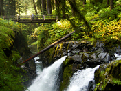 Olympic National Park