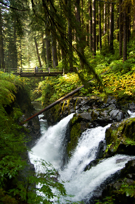 Olympic National Park
