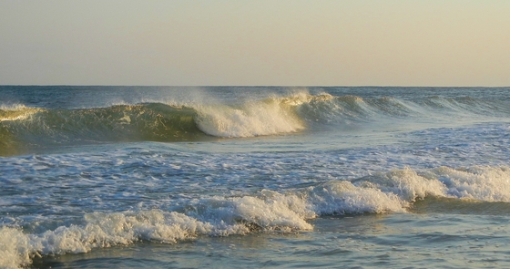 Hatteras National Seashore