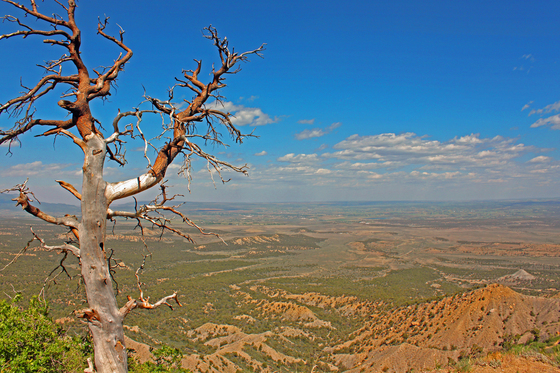 Mesa Verde National Park