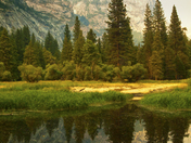 Yosemite National Park